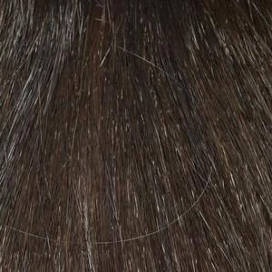 Add On Part Topper by Envy | Heat Friendly/Human Hair Blend Hairpiece (Monofilament Base)