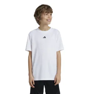 Adidas Boys Train Essentials Logo Tee