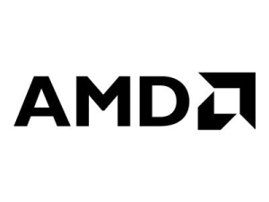 AMD Radeon Pro W7900 - Graphics card - Radeon Pro W7900 - 48 GB GDDR6 - PCIe 4.0 x16 - 3 x DisplayPort, Mini DisplayPort 8F699AA