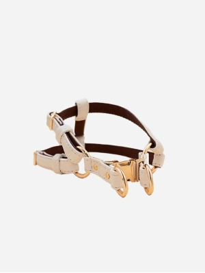 Anatomically Correct Piñatex® Vegan Leather Dog Harness | Royal Beige