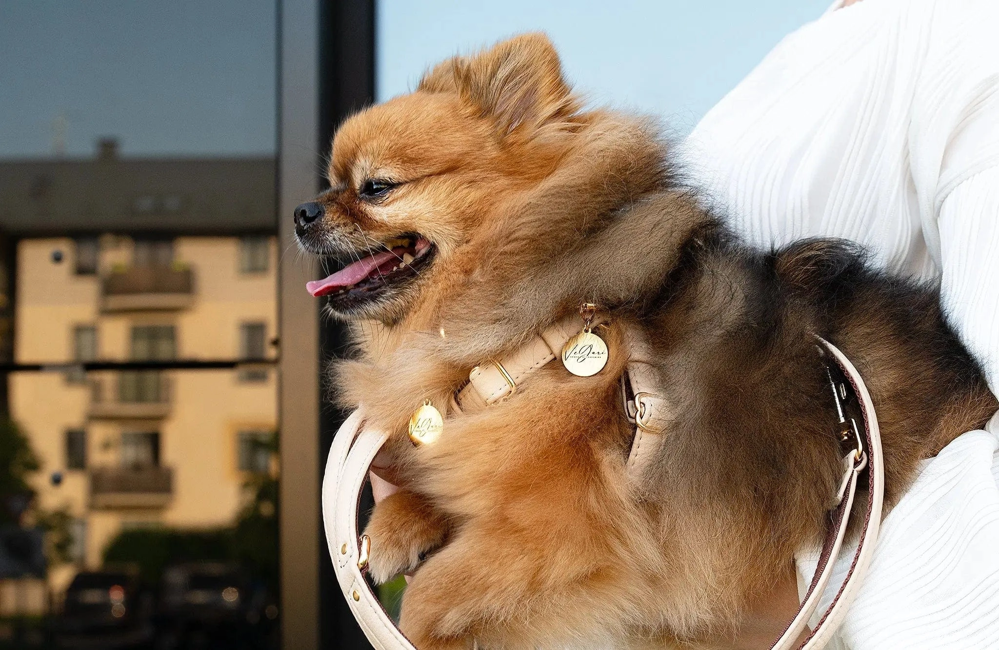 Anatomically Correct Piñatex® Vegan Leather Dog Harness | Royal Beige