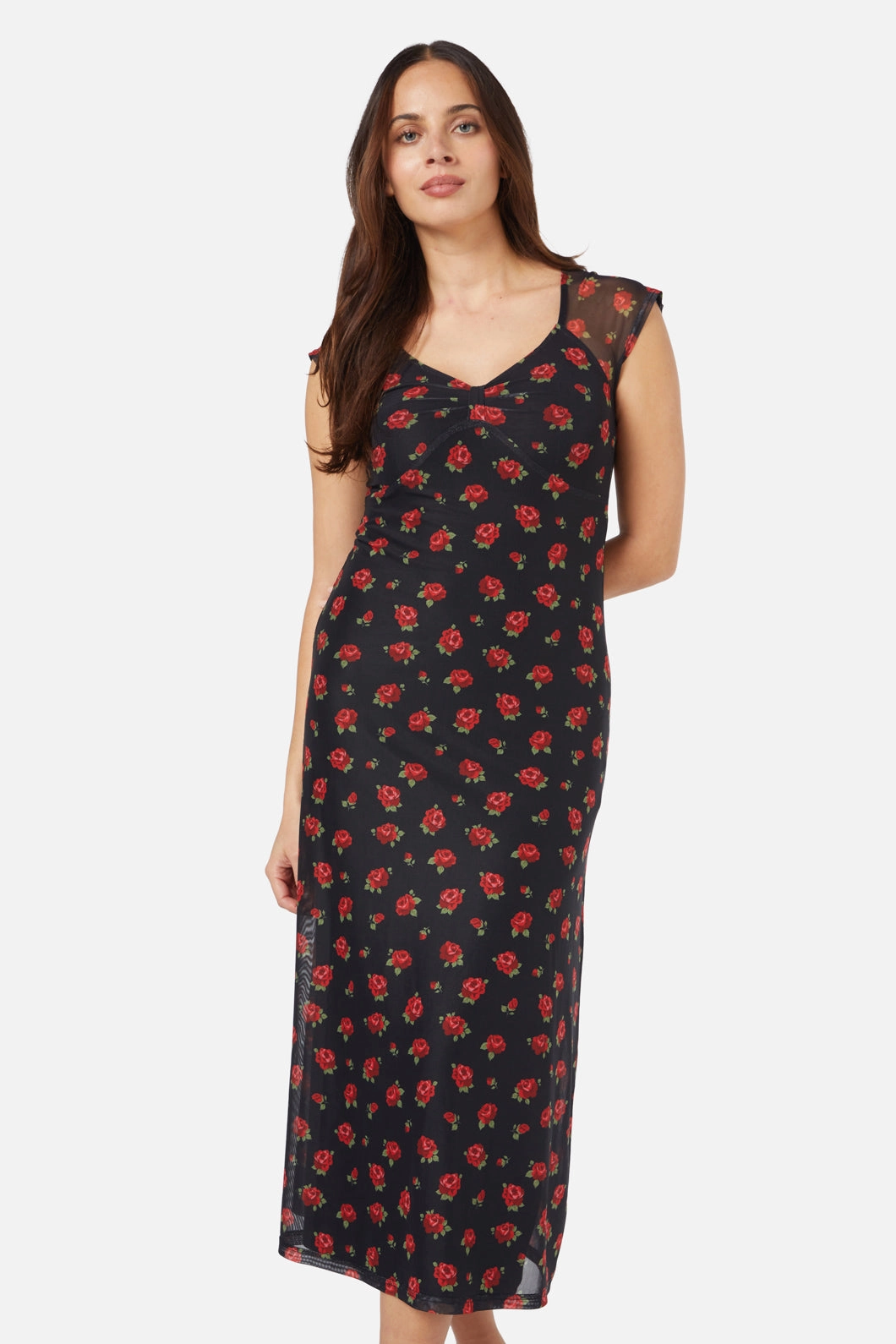 Baby Roses Mesh Dress