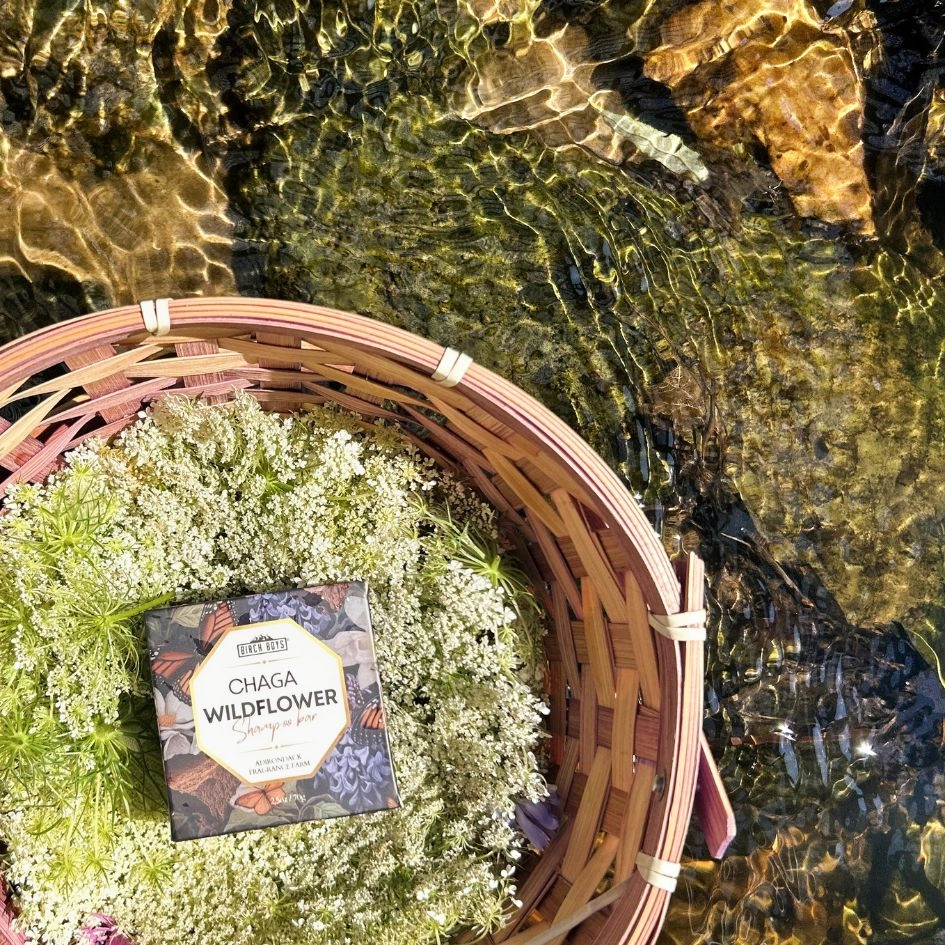 Chaga Wildflower Shampoo Bar