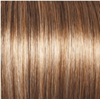 Everyday Elegant Wig by Gabor | Synthetic (Mono Part)