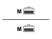 IBM - Network cable - RJ-45 (M) to RJ-45 (M) - 33 ft - green 40K5794
