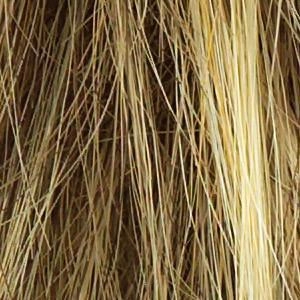 Muse Wig by Raquel Welch | Synthetic (100% Hand-Knotted Lace Front Mono Top)