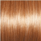 Premium Wig by Gabor | Synthetic (Lace Front Mono Top)
