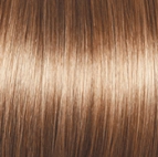 Premium Wig by Gabor | Synthetic (Lace Front Mono Top)