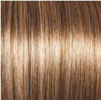Sheer Elegance Wig by Gabor | Synthetic (Lace Front Traditional Cap)
