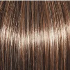Sheer Elegance Wig by Gabor | Synthetic (Lace Front Traditional Cap)