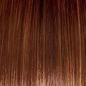 Sheer Elegance Wig by Gabor | Synthetic (Lace Front Traditional Cap)