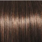 Sheer Elegance Wig by Gabor | Synthetic (Lace Front Traditional Cap)