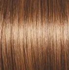 Sheer Elegance Wig by Gabor | Synthetic (Lace Front Traditional Cap)