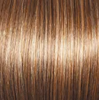 Sheer Elegance Wig by Gabor | Synthetic (Lace Front Traditional Cap)