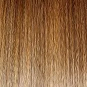 Sheer Elegance Wig by Gabor | Synthetic (Lace Front Traditional Cap)