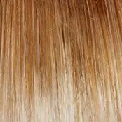 Sheer Elegance Wig by Gabor | Synthetic (Lace Front Traditional Cap)