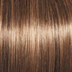 Sheer Elegance Wig by Gabor | Synthetic (Lace Front Traditional Cap)