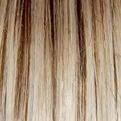 Sheer Elegance Wig by Gabor | Synthetic (Lace Front Traditional Cap)
