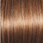 Sheer Elegance Wig by Gabor | Synthetic (Lace Front Traditional Cap)