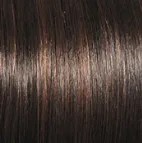 Sheer Elegance Wig by Gabor | Synthetic (Lace Front Traditional Cap)