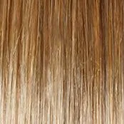 Sheer Elegance Wig by Gabor | Synthetic (Lace Front Traditional Cap)
