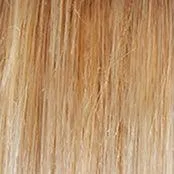 Sheer Elegance Wig by Gabor | Synthetic (Lace Front Traditional Cap)