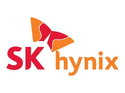 SK Hynix - DDR3 - module - 2 GB - DIMM 240-pin - 1600 MHz / PC3-12800 - unbuffered HMT325U6CFR8C-PB N0 AA