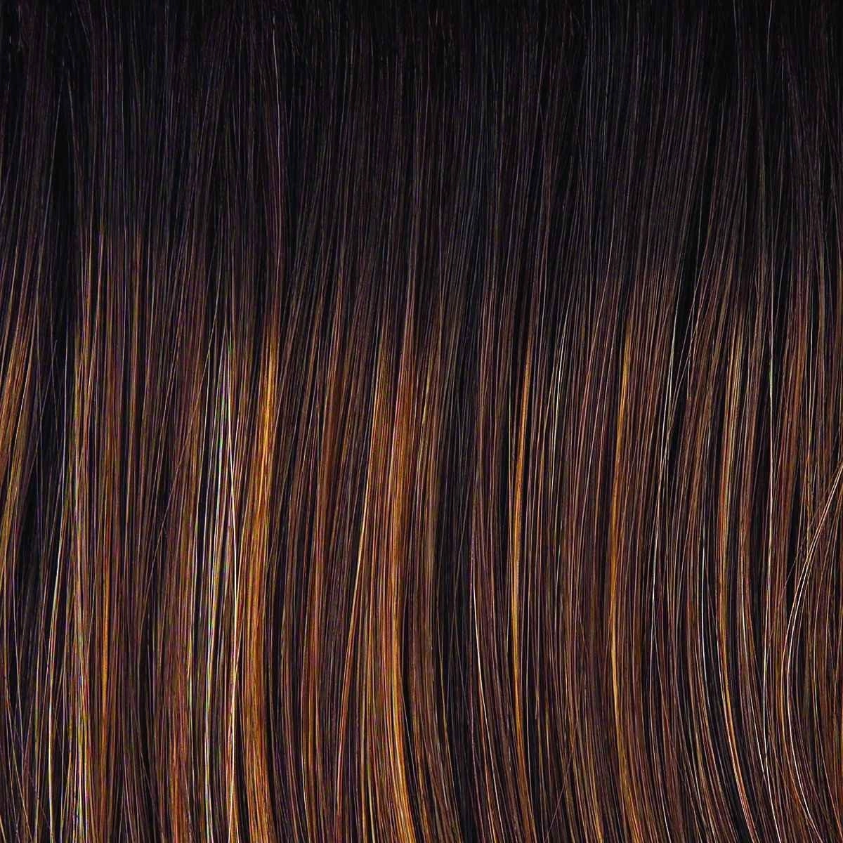 Spotlight Elite Wig by Raquel Welch | Heat Friendly Synthetic (Lace Front Mono Top)