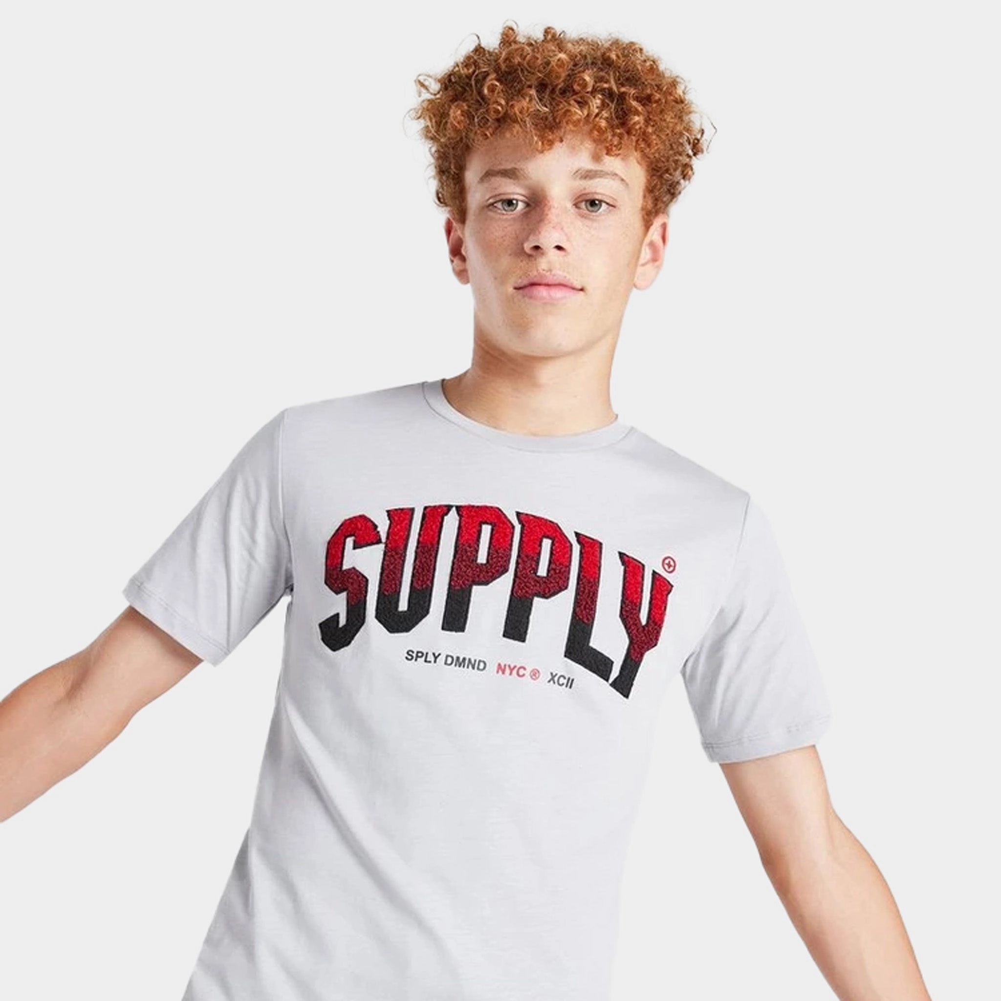 Supply & Demand Junior Boys' Zuni Graphic T-Shirt / Micro Chip